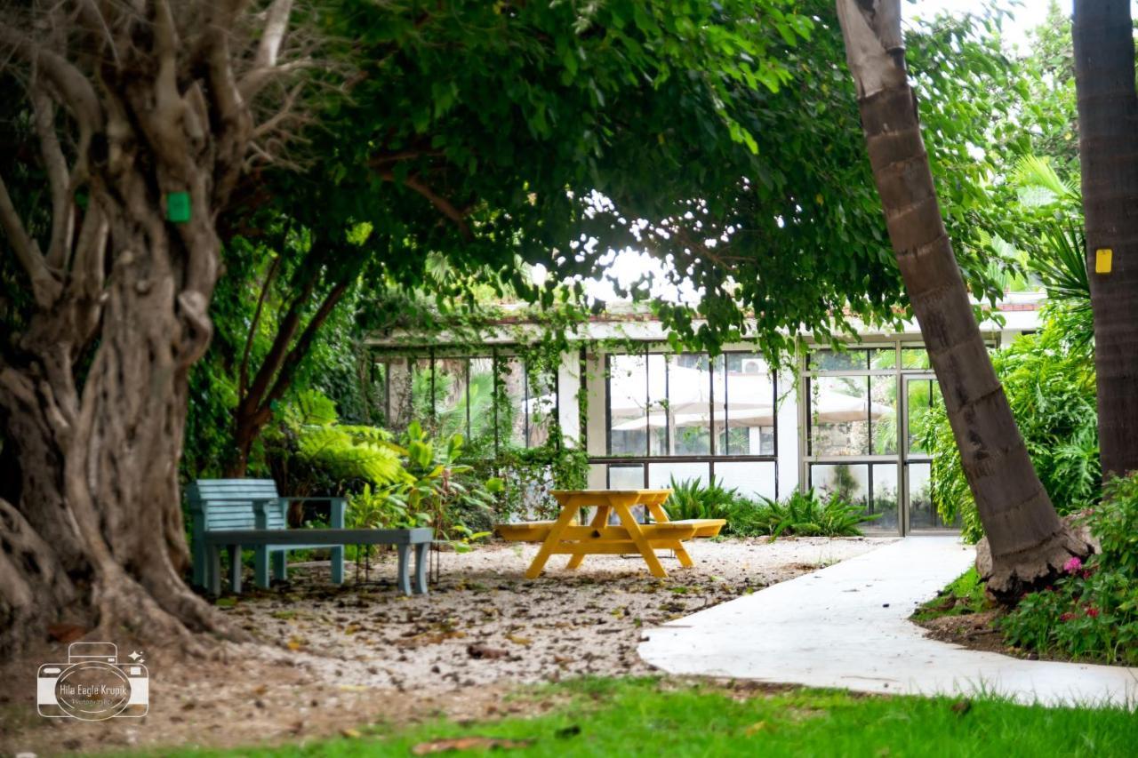 Eden Inn Zikhron Ya'akov Ngoại thất bức ảnh